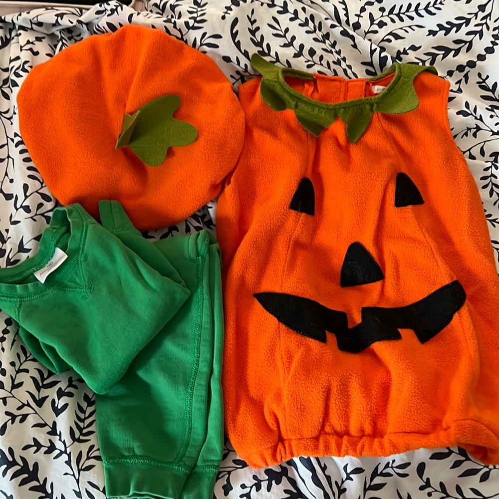 PB Kids Costume w/ Hanna Andersson Sweat suit EUC